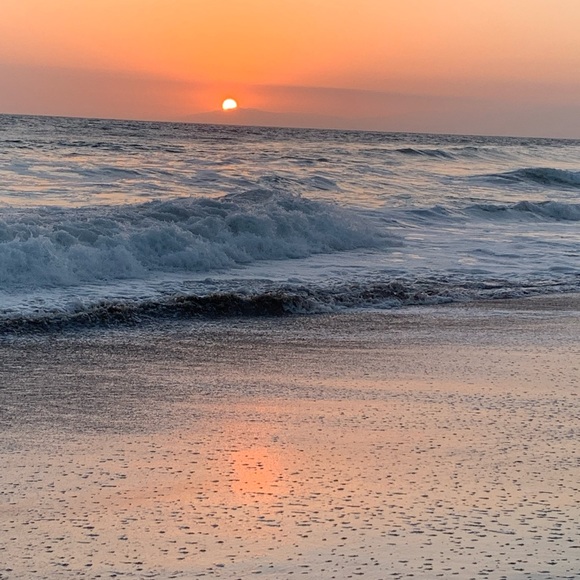 Meet your Posher, Betty - Picture 1 of 1